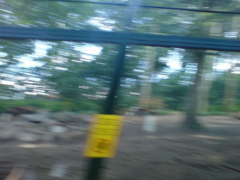 DSC00451