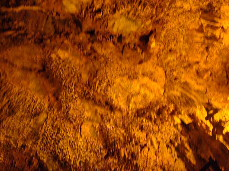 DSC00566
