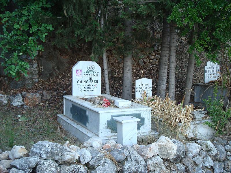DSC00630