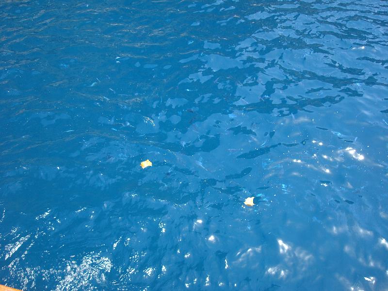 DSC00672